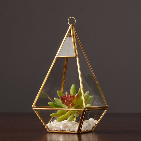 Nordic Style Glass Bonsai/Flower Vase