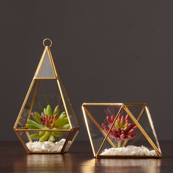 Nordic Style Glass Bonsai/Flower Vase